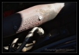 440 Coronet  - 2